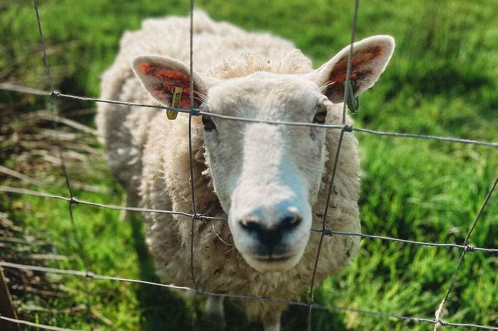 3 Day Flow and Balance Retreat: Wellness Weekend in Wales, UK 8