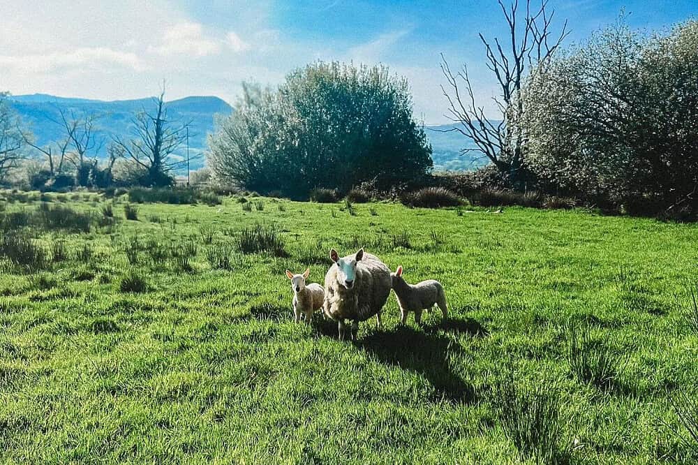 3 Day Flow and Balance Retreat: Wellness Weekend in Wales, UK 6