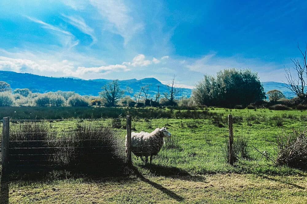 3 Day Flow and Balance Retreat: Wellness Weekend in Wales, UK 7