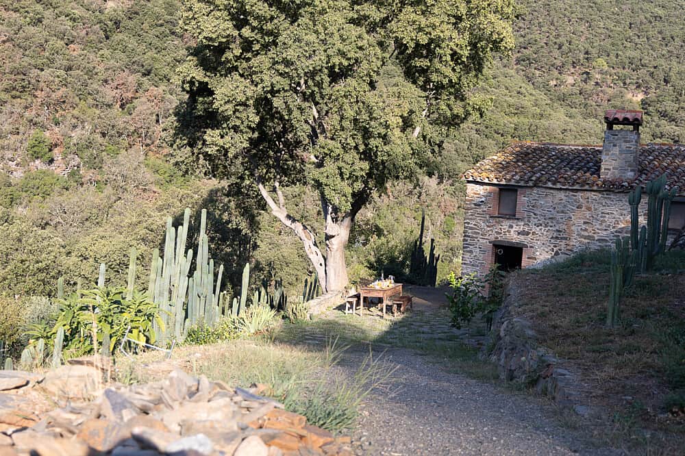 10 Day Medicine Walk in Silence: Mystical Rebirth Retreat, Spain 3