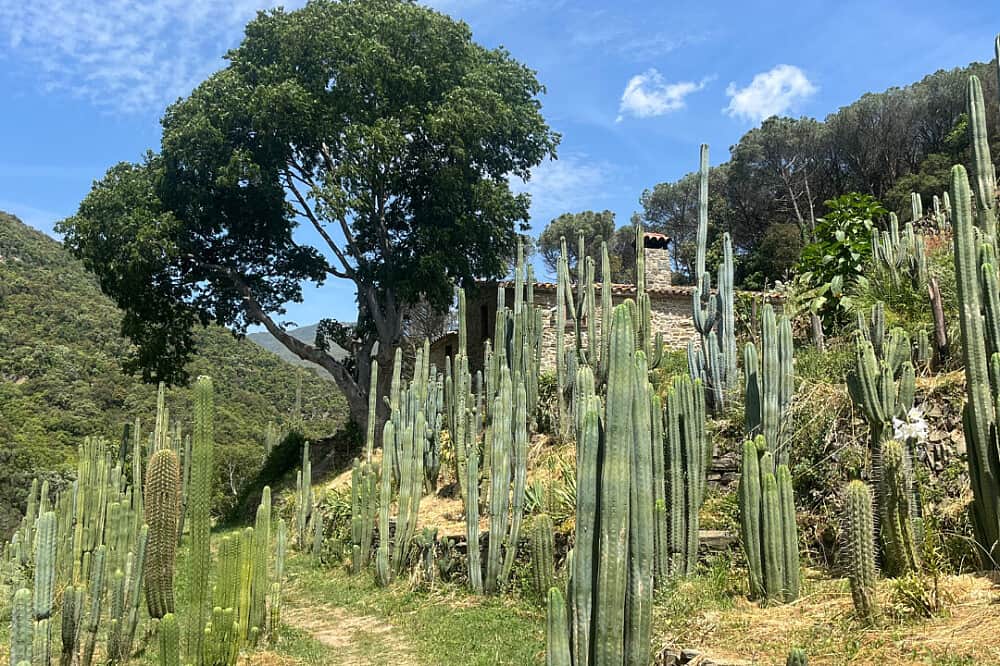 10 Day Medicine Walk in Silence: Mystical Rebirth Retreat, Spain 1