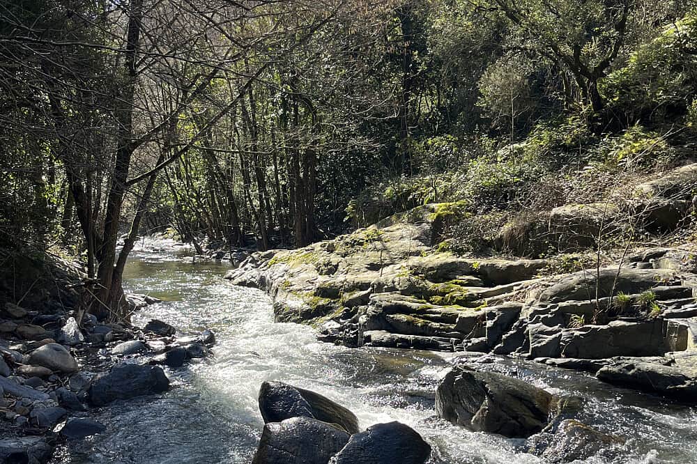 10 Day Medicine Walk in Silence: Mystical Rebirth Retreat, Spain 6