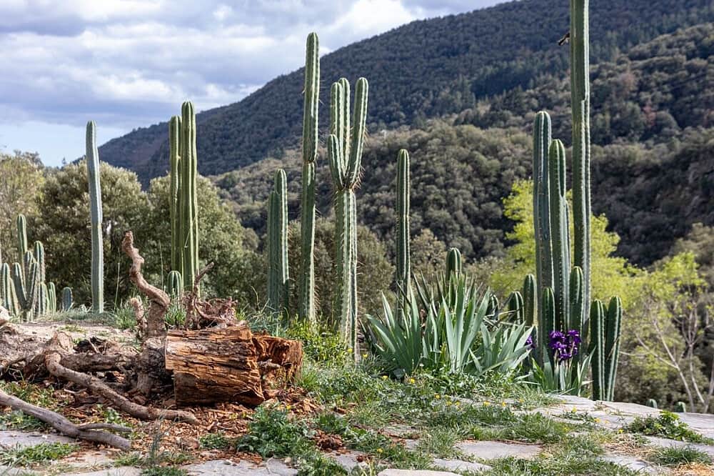 10 Day Medicine Walk in Silence: Mystical Rebirth Retreat, Spain 7