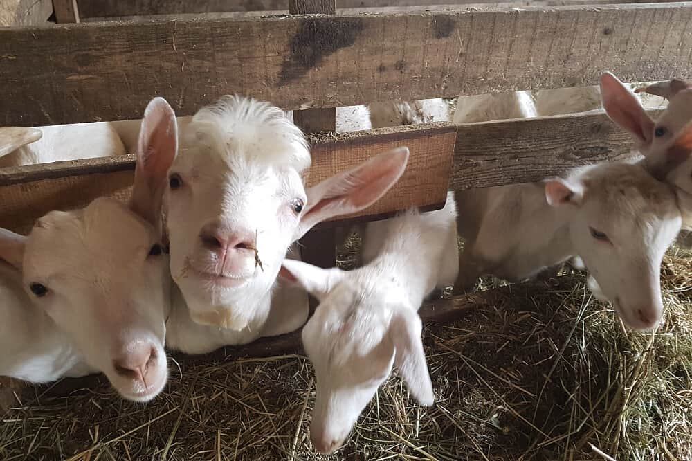 9 Day Fall in the Dolomites: Hiking & Cultural Immersion in Italy 3