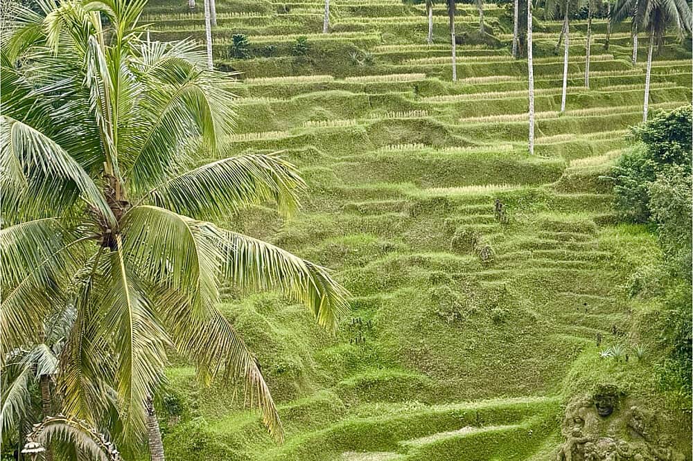 6 Day Yoga Retreat, A Sacred Journey of Renewal, Bali 7