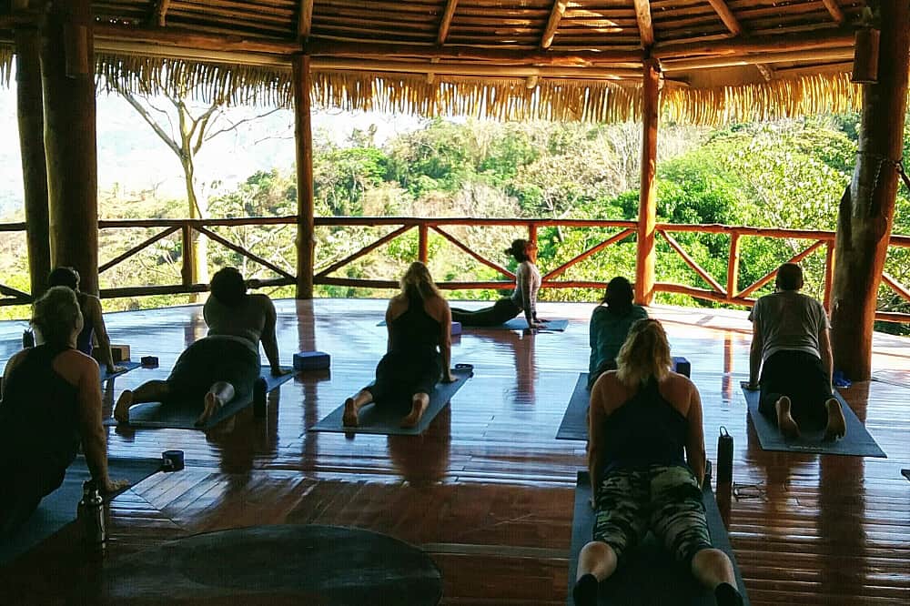 6 Day Herbal Medicine & Yoga Retreat in Costa Rica 5