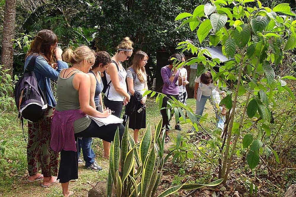6 Day Herbal Medicine & Yoga Retreat in Costa Rica 4