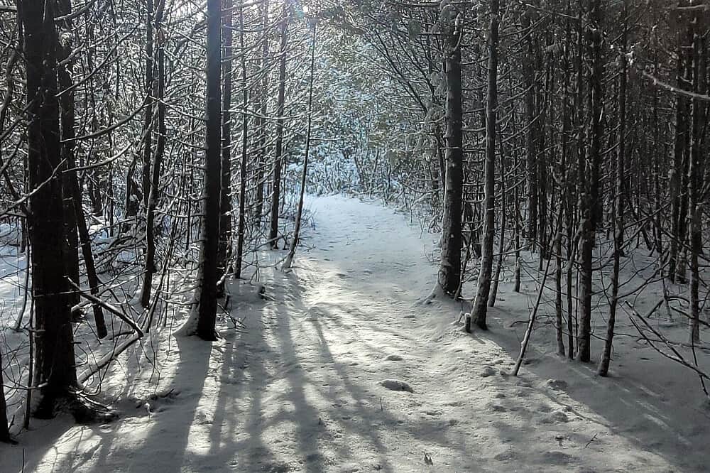 3 Day Winter Stillness Rebellion Mindfulness Immersion, Canada 1