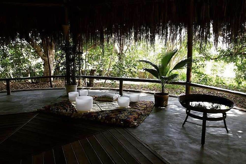 8 Day Healing Music & Yoga Retreat with Loving Dogs, Brazil 4