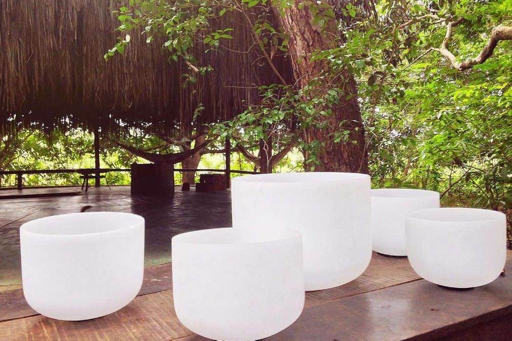 8 Day Healing Music & Yoga Retreat with Loving Dogs, Brazil 5