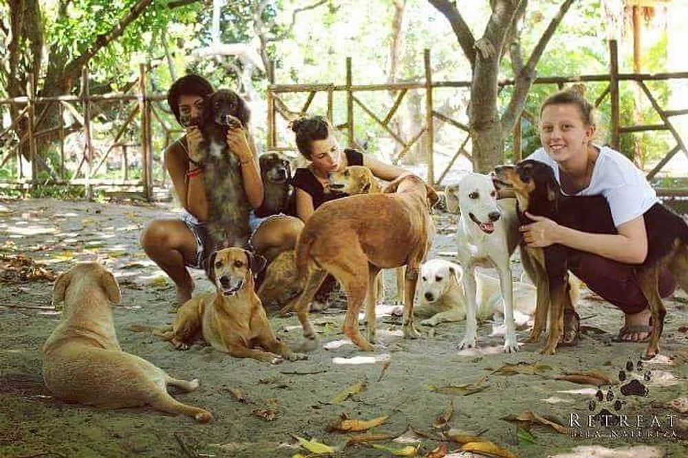 8 Day Healing Music & Yoga Retreat with Loving Dogs, Brazil 1