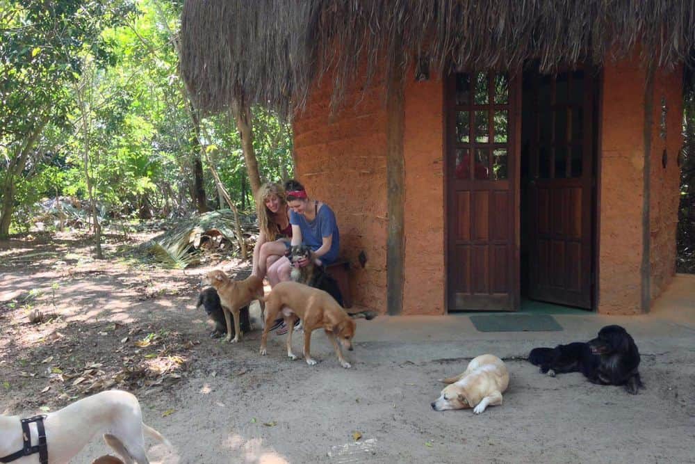 8 Day Healing Music & Yoga Retreat with Loving Dogs, Brazil 8