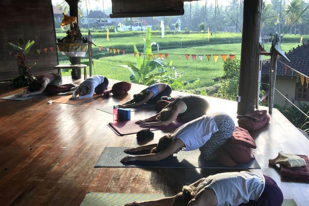 21 Day 200 Hour Bali Bliss Yoga Teacher Training Course, Bali 6