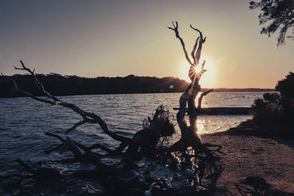 Mohanji Centre of Benevolence Australia 1