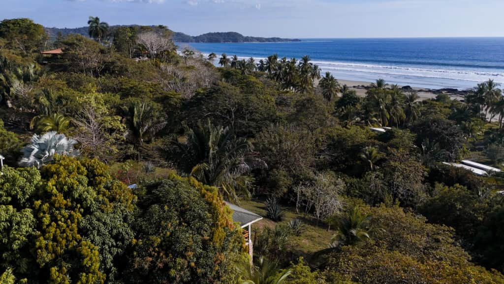 Salvatierra Hosts: 6