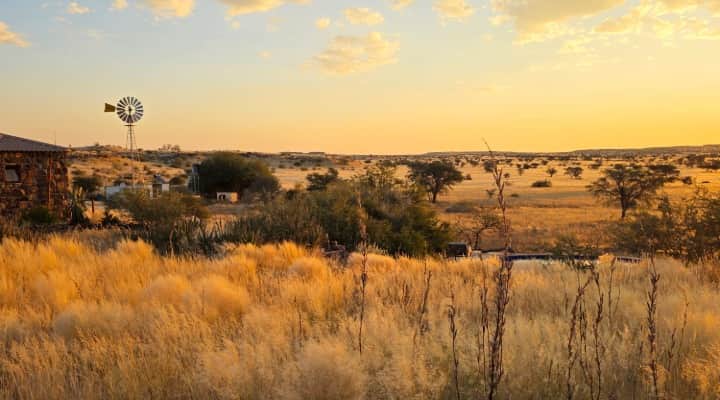 Boscia African Farm 2