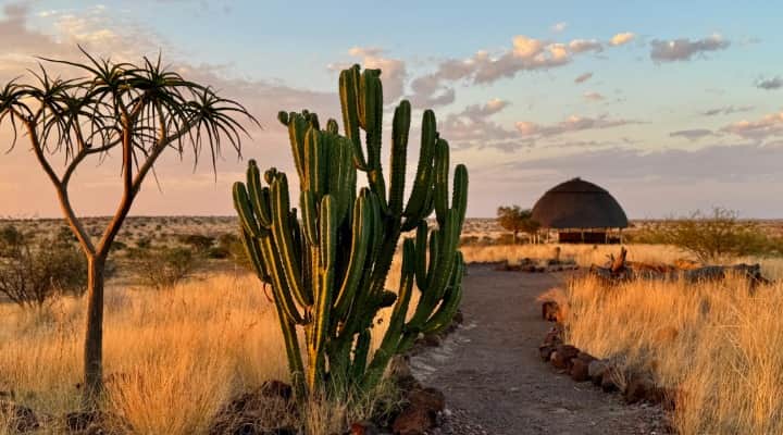 Boscia African Farm 7