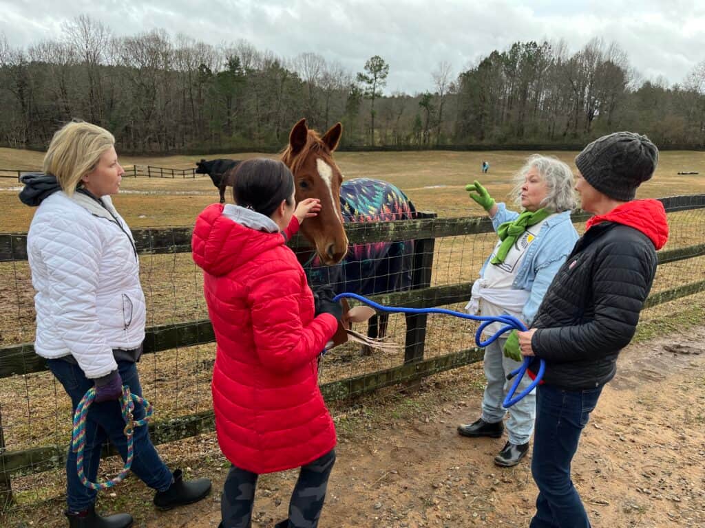 Imagine Equus Retreats 1