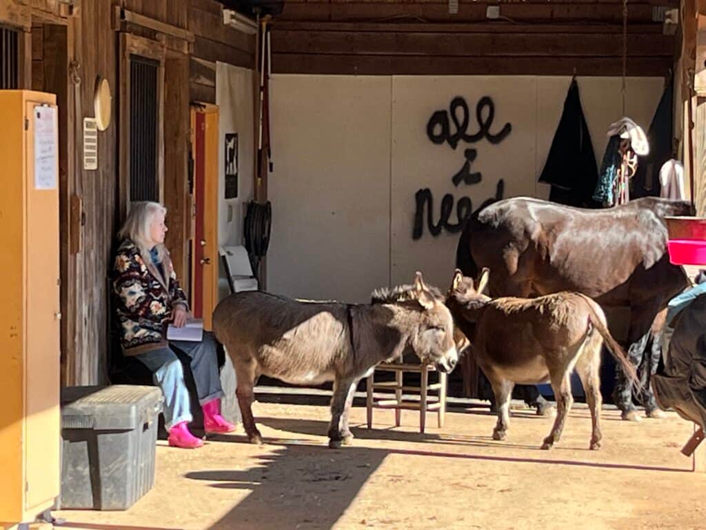 Imagine Equus Retreats 3