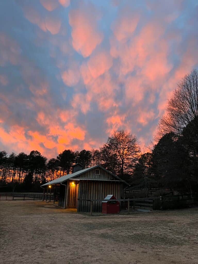 Imagine Equus Retreats 7