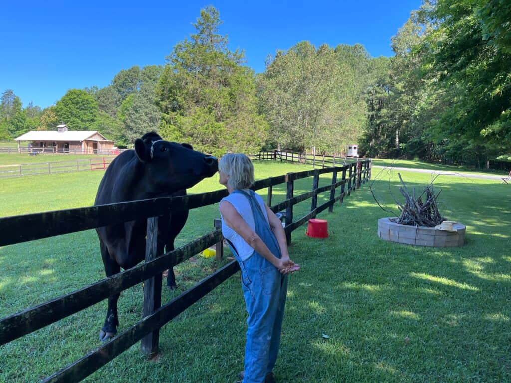 Imagine Equus Retreats 6