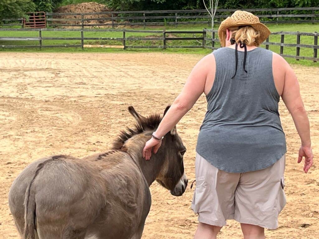 Imagine Equus Retreats 5