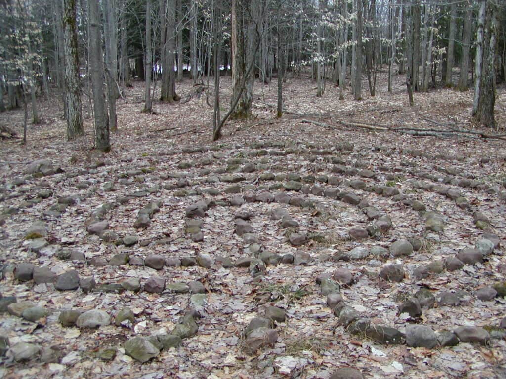 Holistic Horizons at Fiddlehead Grove Retreat 7