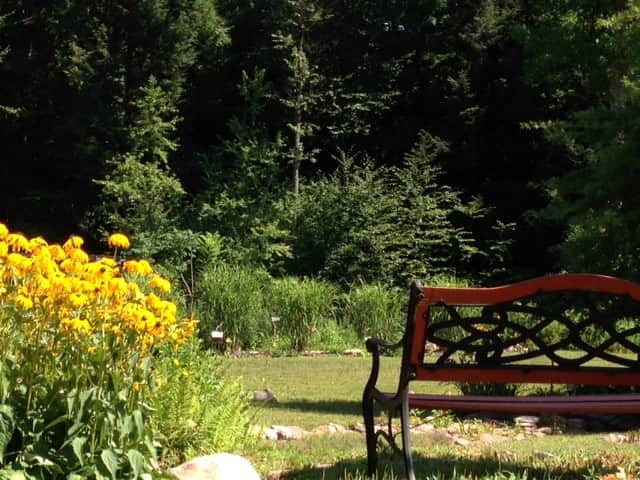 Holistic Horizons at Fiddlehead Grove Retreat 3