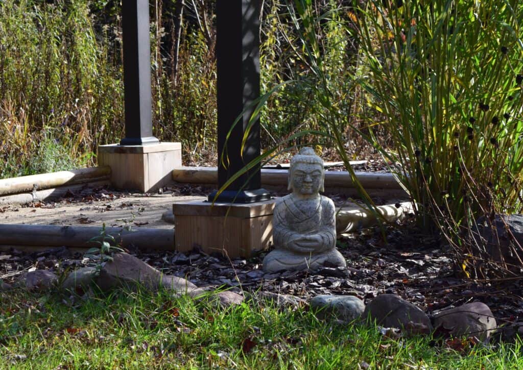 Holistic Horizons at Fiddlehead Grove Retreat 5