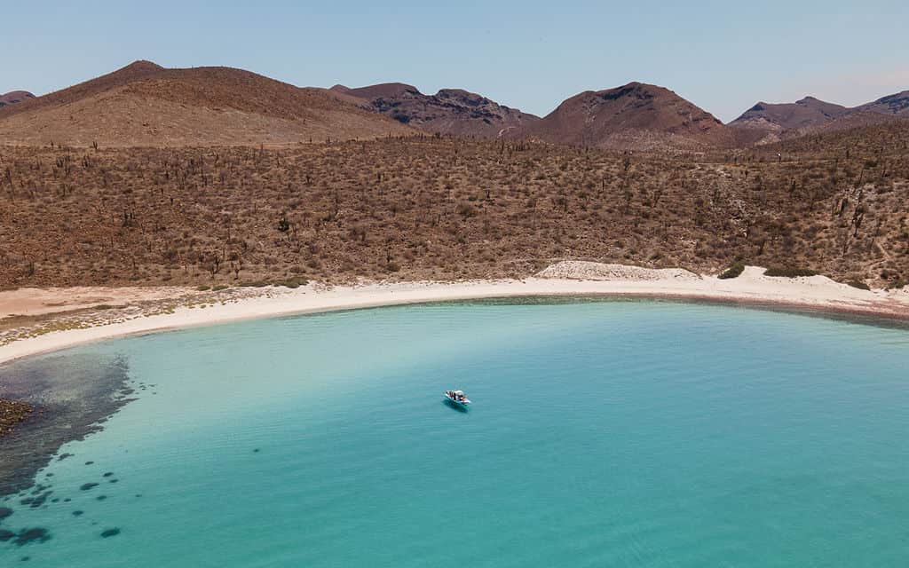 Experience Baja Life 3