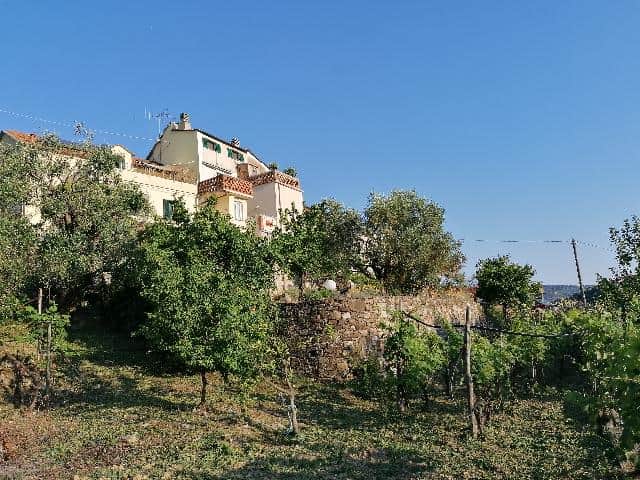 Ashtanga Yoga Centre 3