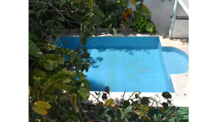 Redemption Ibogaine 4