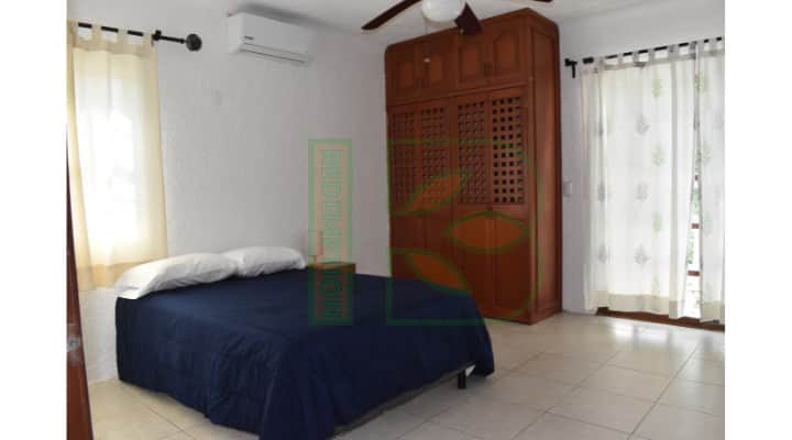 Redemption Ibogaine 7