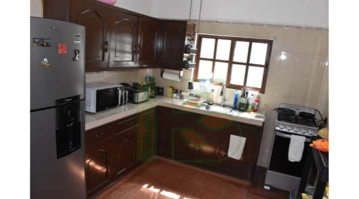 Redemption Ibogaine 5