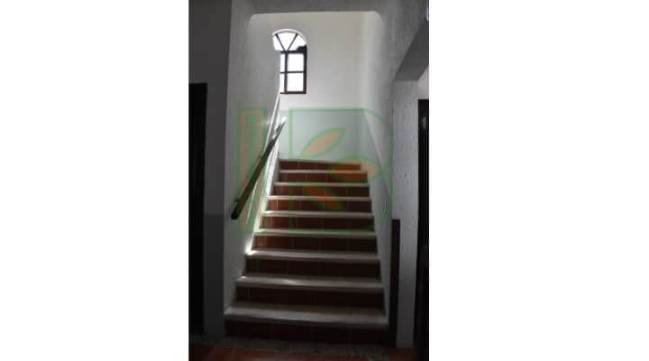 Redemption Ibogaine 6