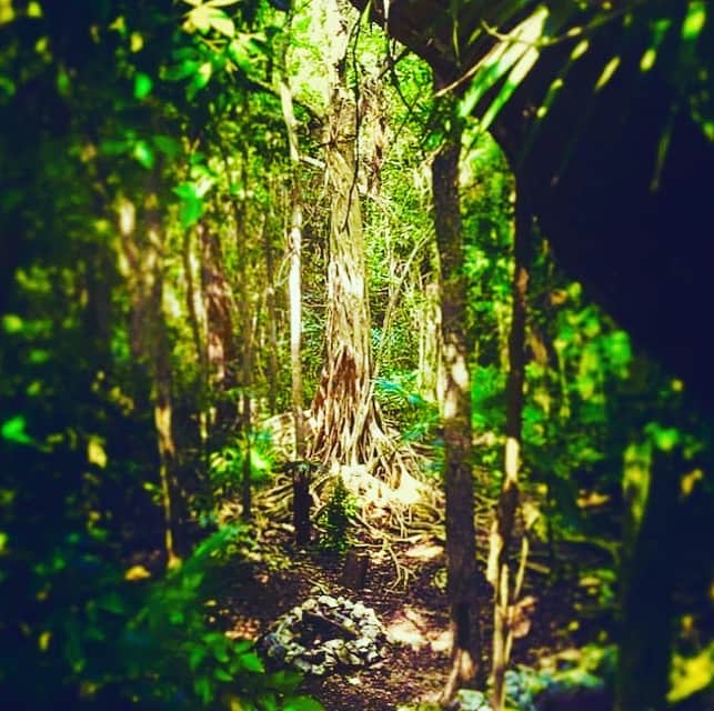 One Breath of Yoga Ashram 2