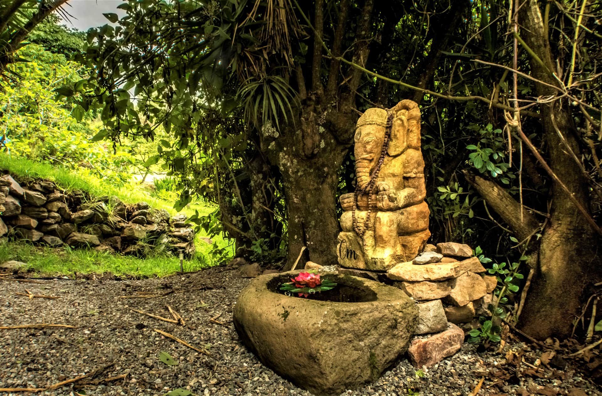 Twelve Hummingbirds Andes Retreats 7