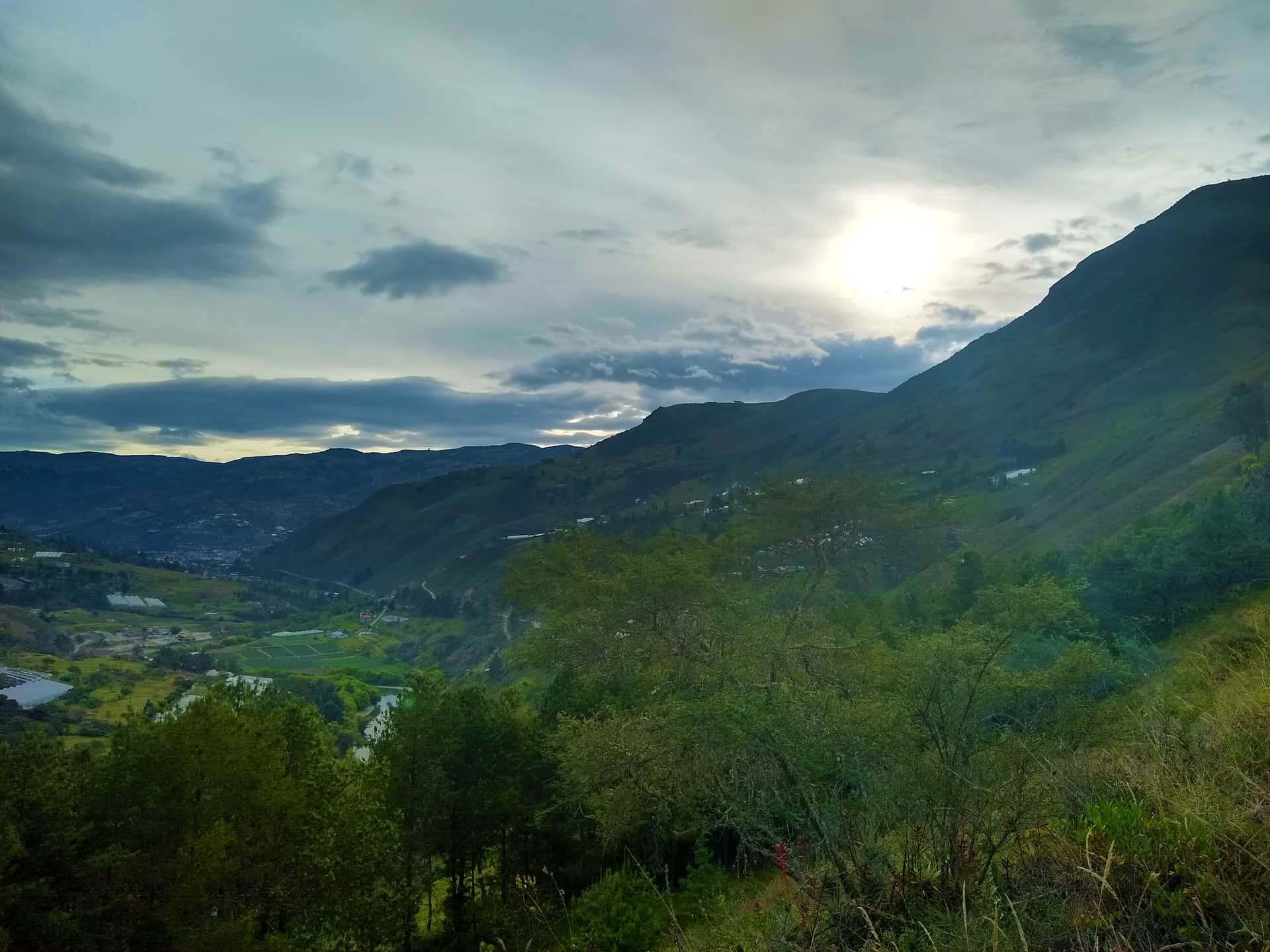 Twelve Hummingbirds Andes Retreats 2