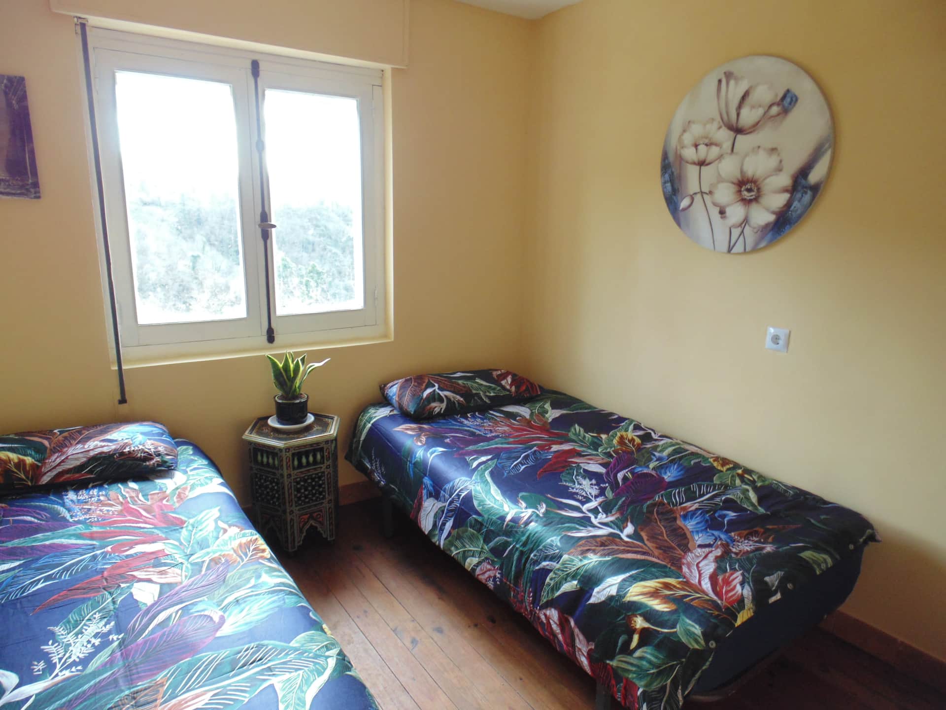 Dragonfly Chi Kung 6