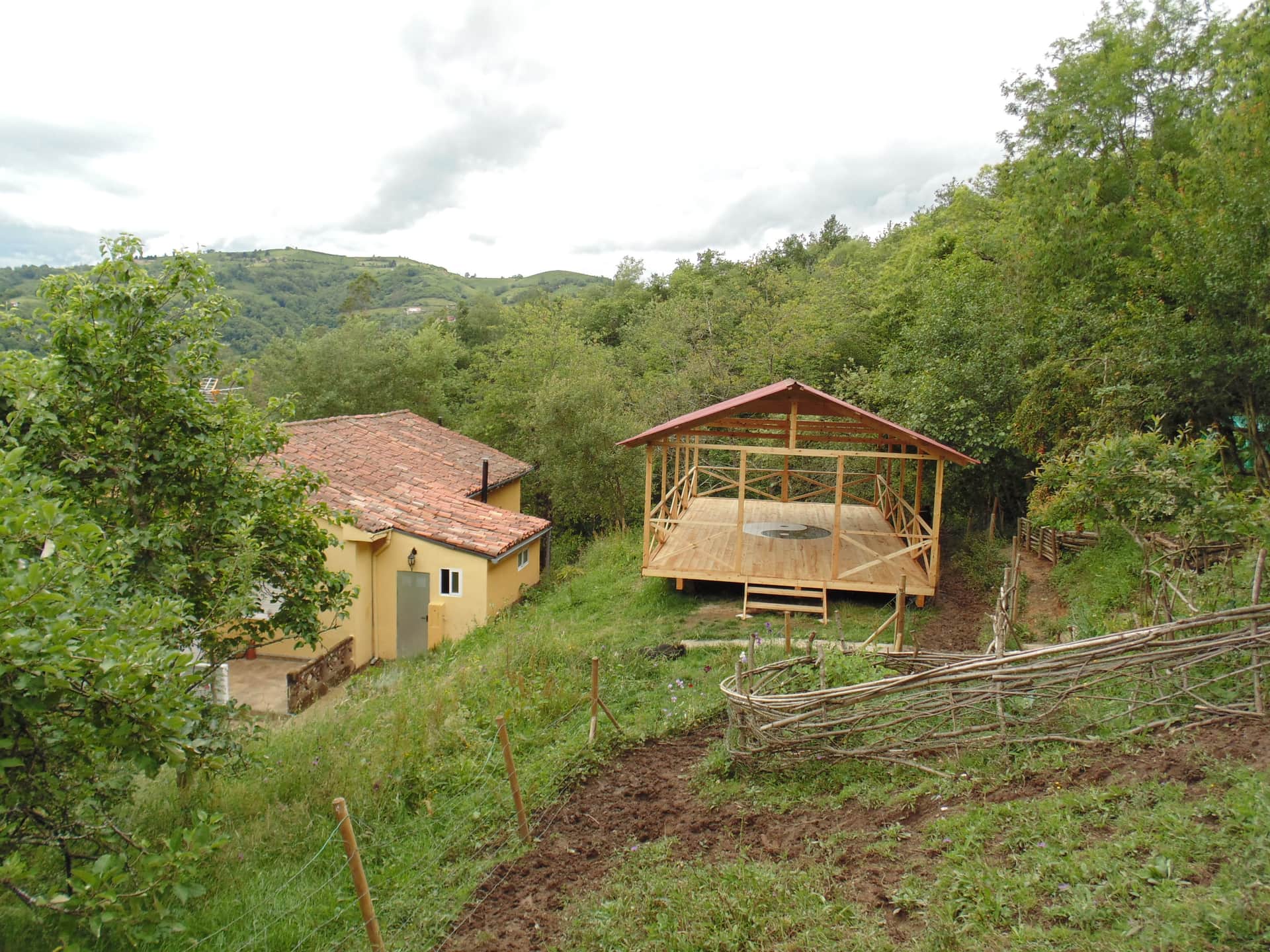 Dragonfly Chi Kung 5