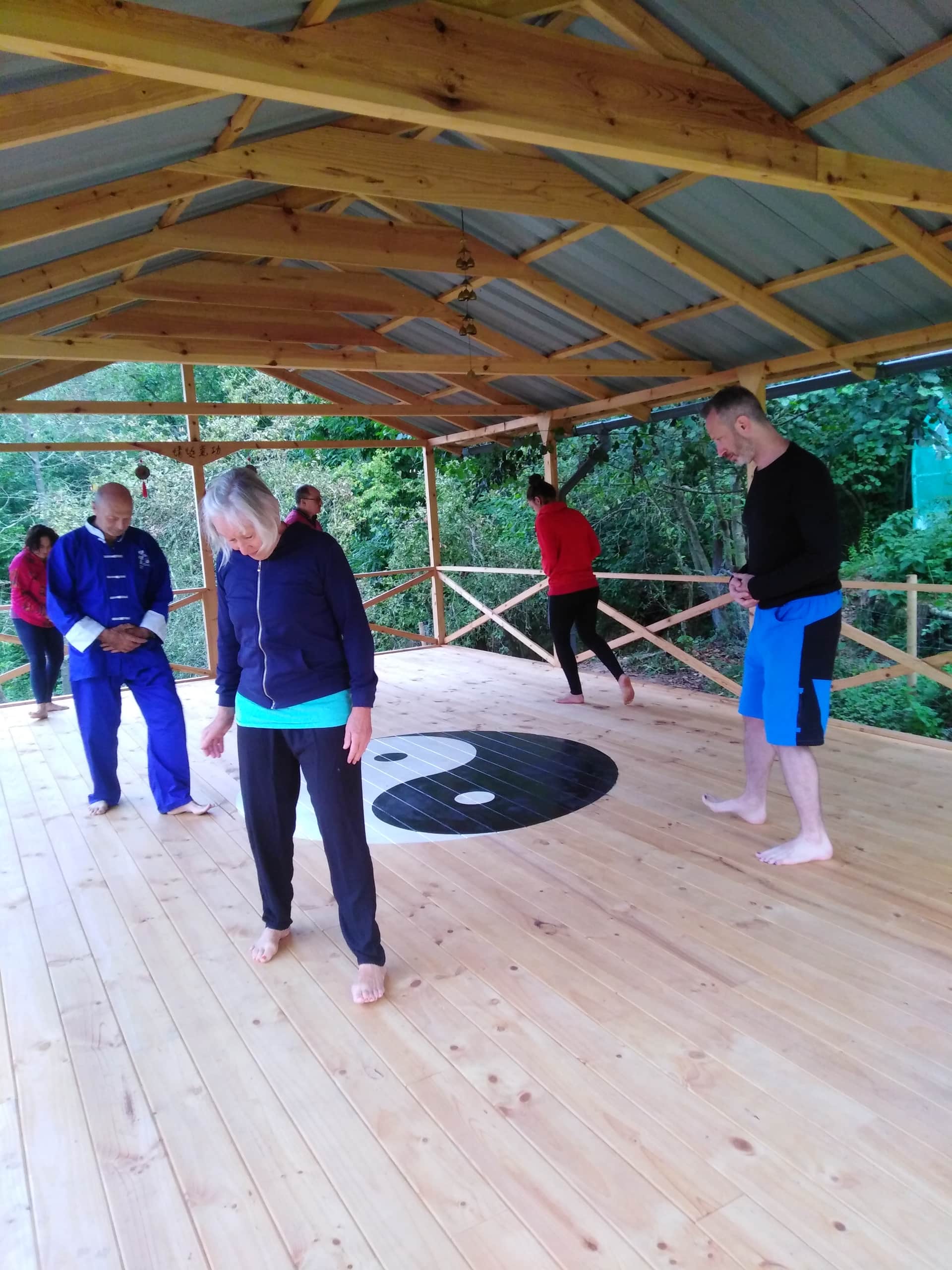 Dragonfly Chi Kung 7