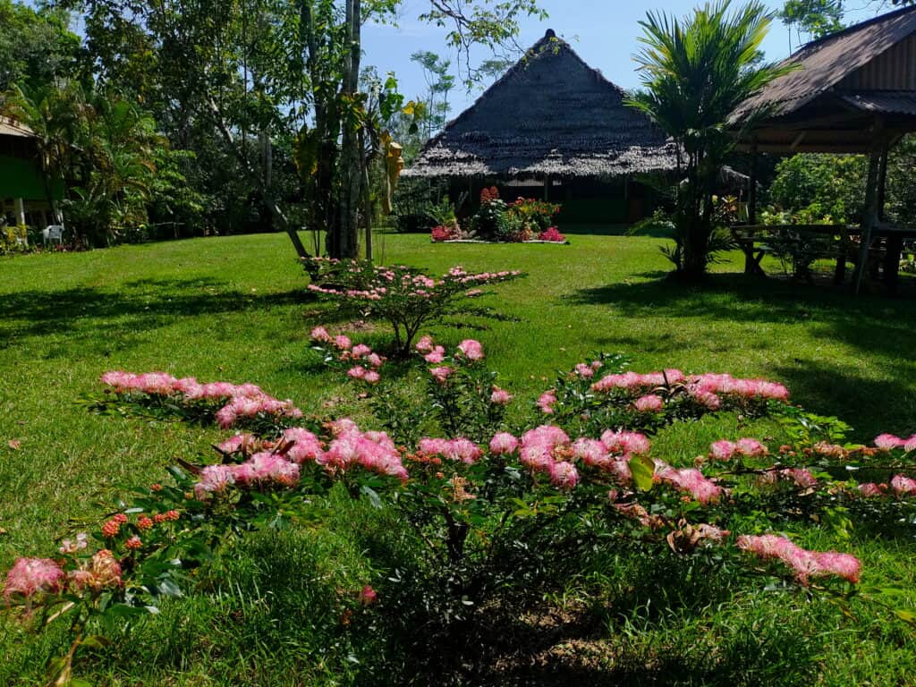 Hummingbird Healing Center 5