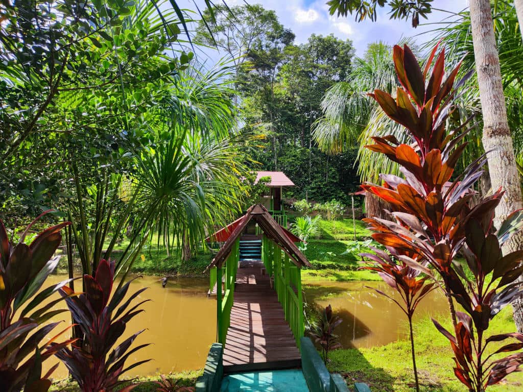 Hummingbird Healing Center 6