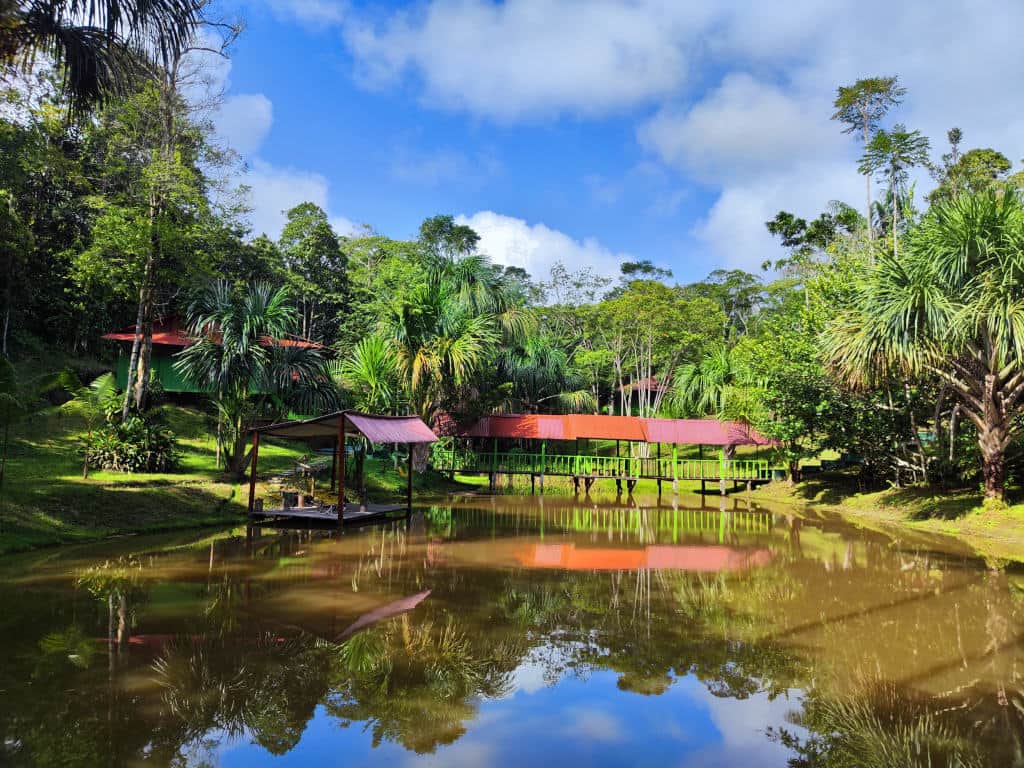 Hummingbird Healing Center 7