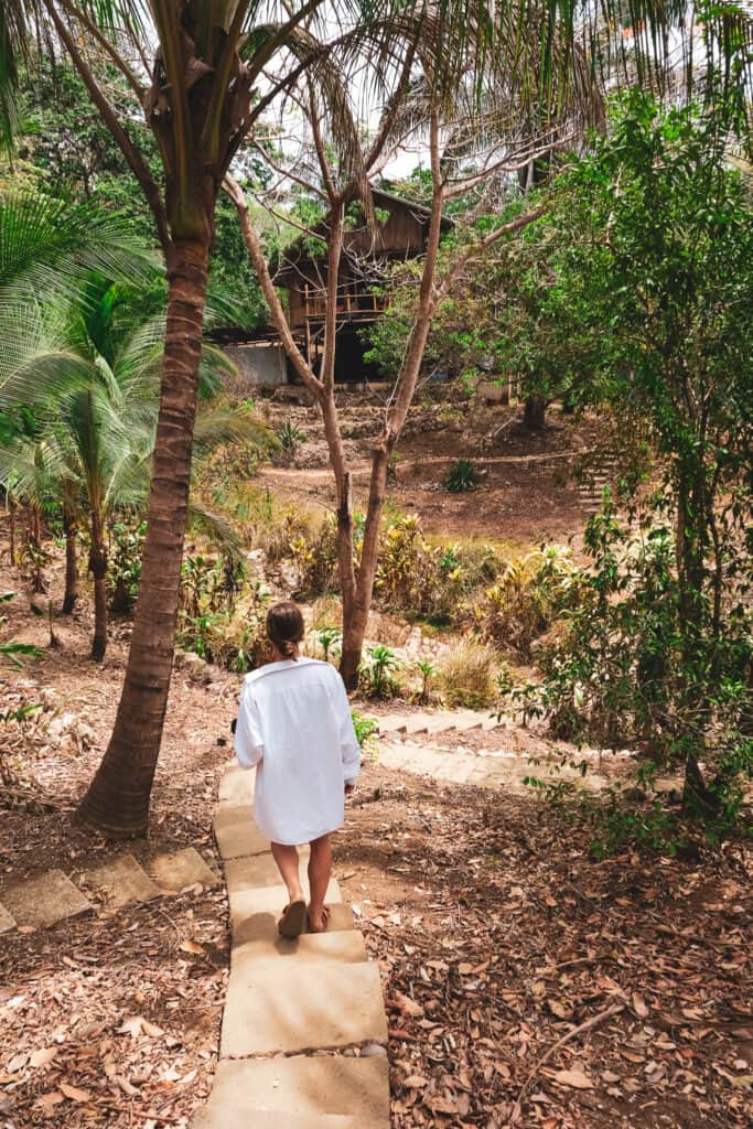 Alya - Jungle Casitas 5