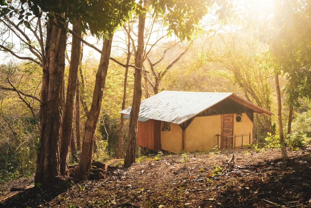 Alya - Jungle Casitas 2