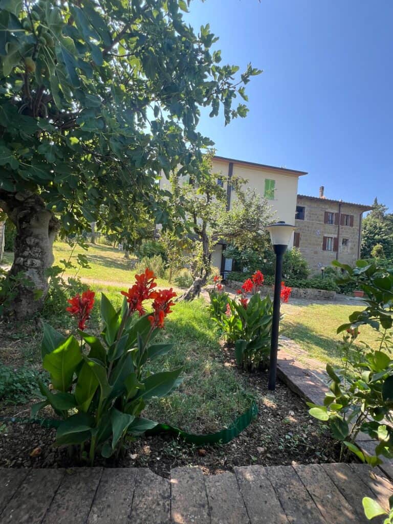 Love your body better 7