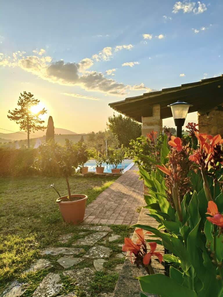 Love your body better 1