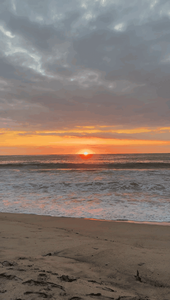 Ivana | Voice and Plant Alchemy 8