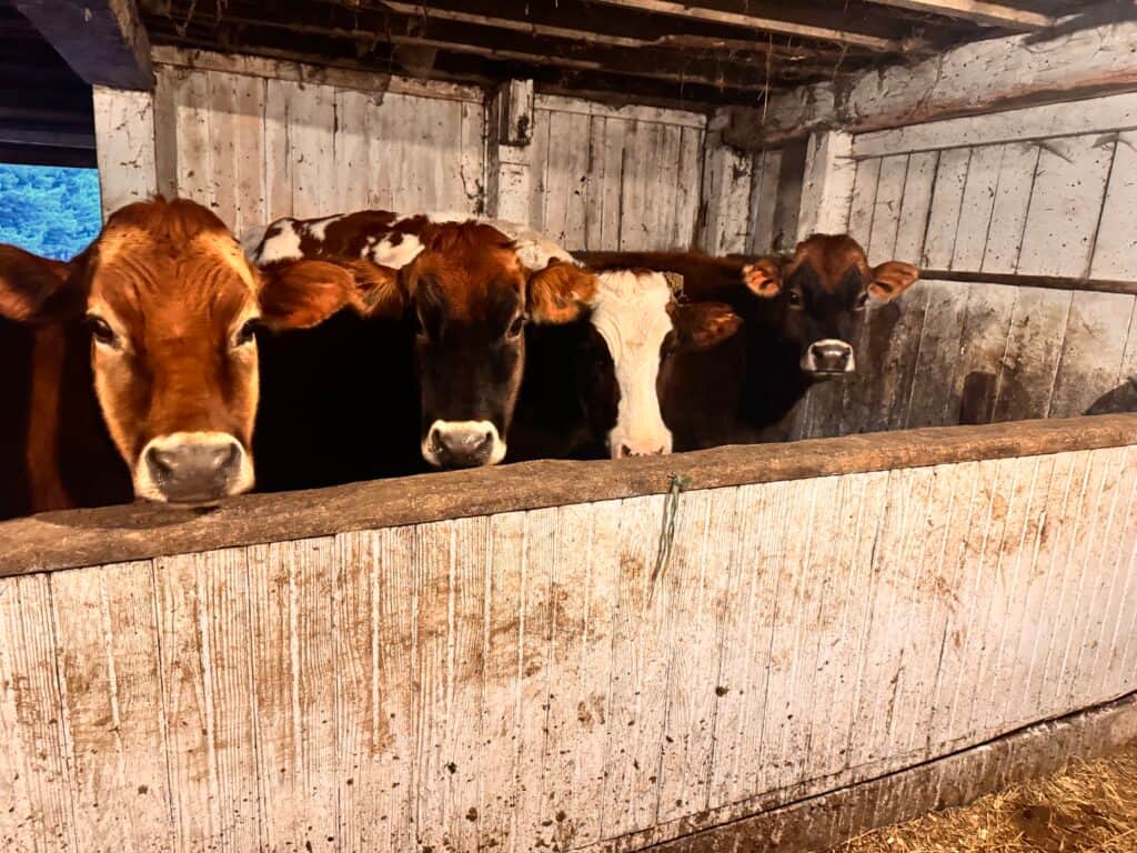 Stone Garden Retreats 4